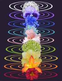 Chakra Healer